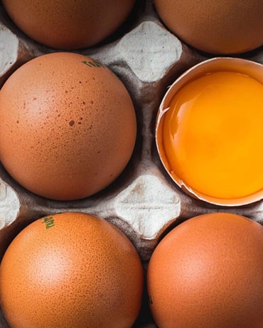 Nutrihuevos